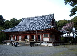 京都 醍醐寺 桜